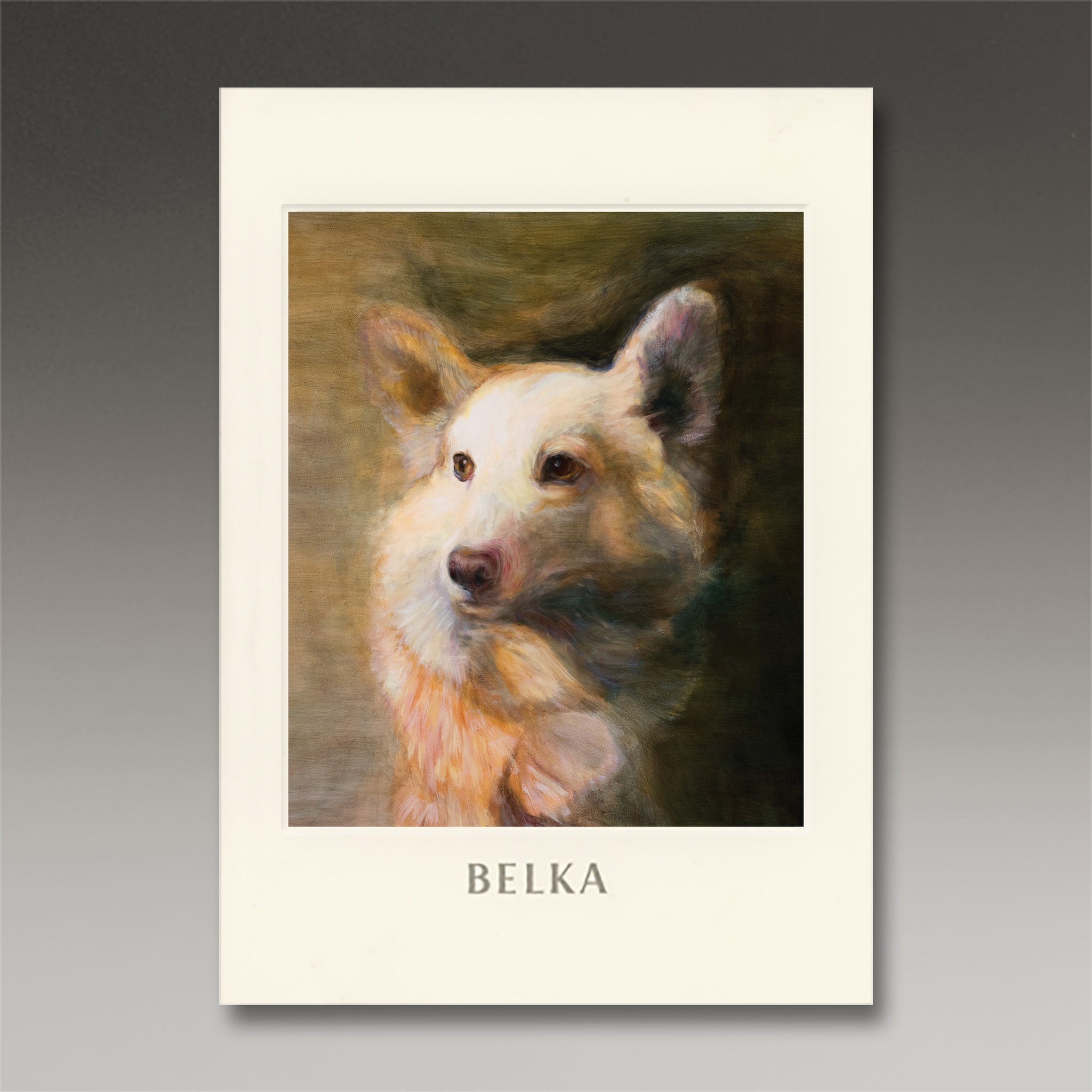 Belka-web-image_2048x.jpg?v=