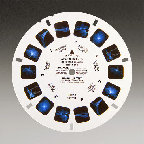 The Stereo Floral Radiography of Al Richards View-Master Reels