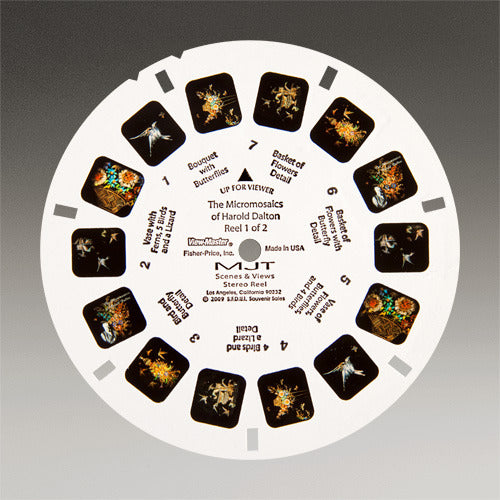 The Micromosaics of Harold Dalton View-Master Reels – Museum of Jurassic  Technology Gift Shop