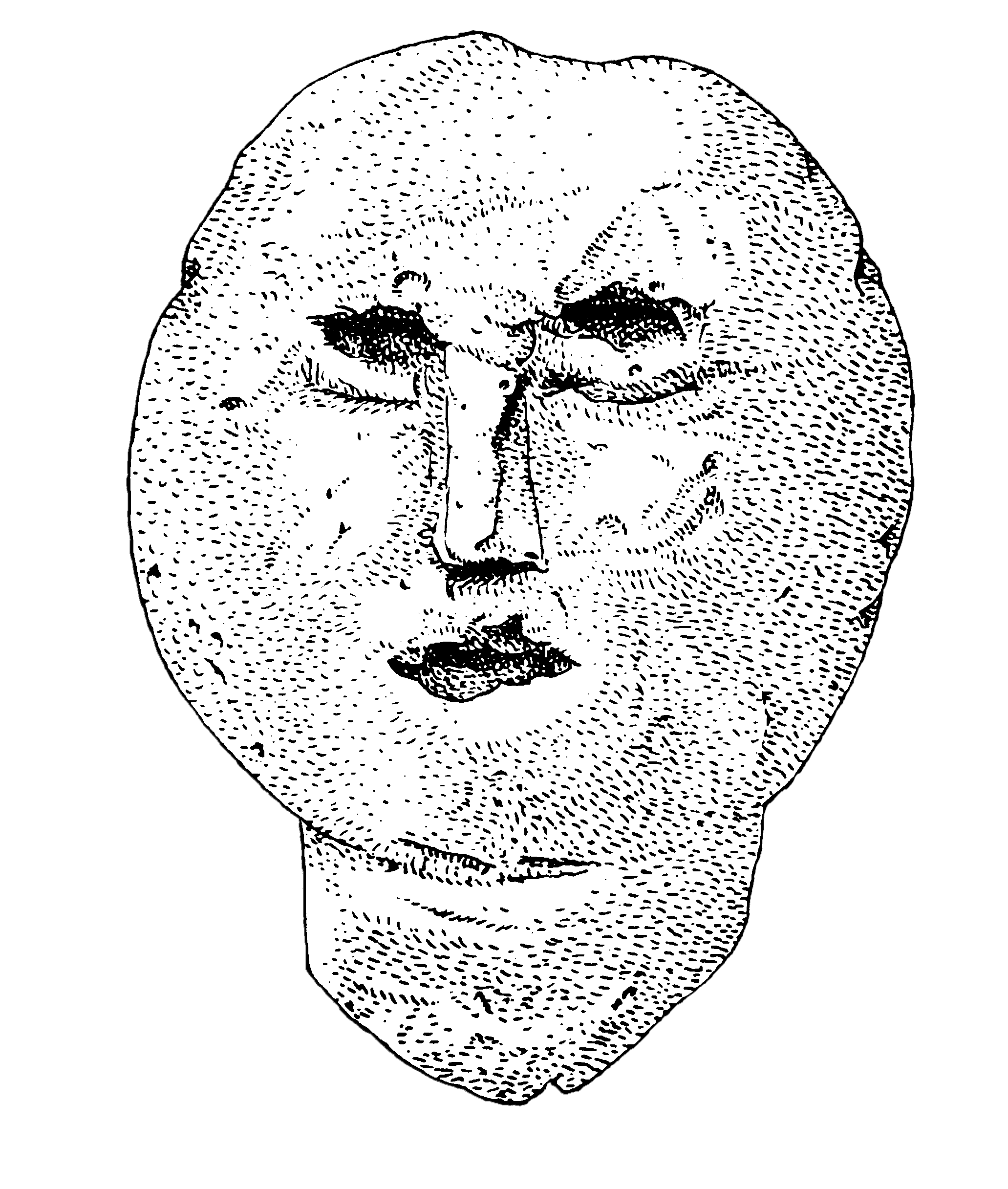 Museum of Jurassic Technology Gift Shop