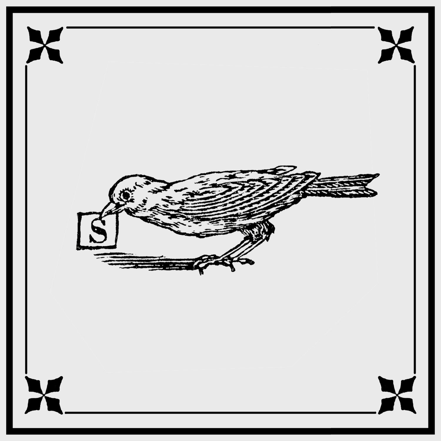 raven with alphabet S block