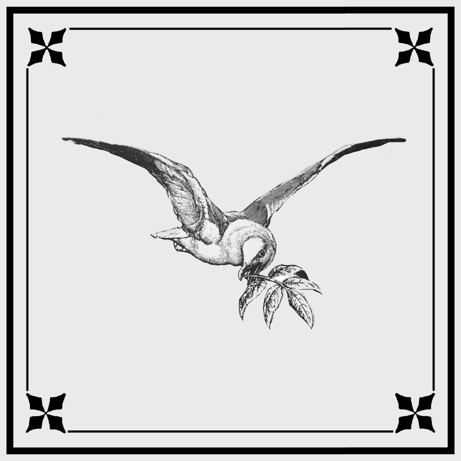 flying dove